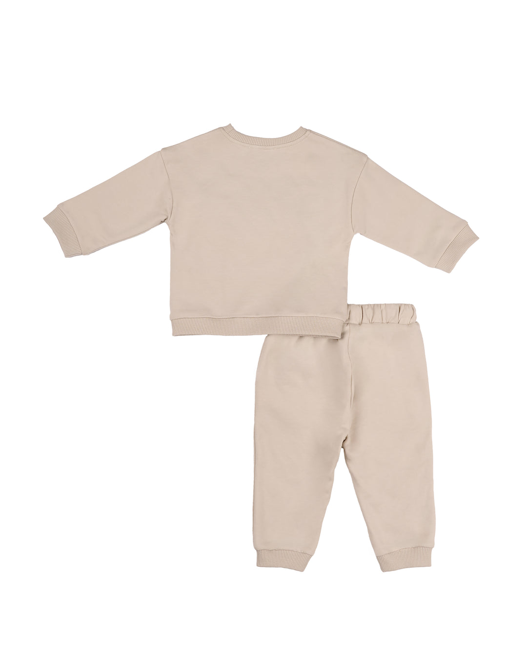 Boys Koala Graphic Sweatshirt and Joggers Set